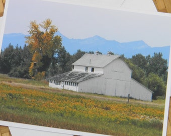 Barn and Goldenrod Photo Note Card - Rural Nature Photography Montana