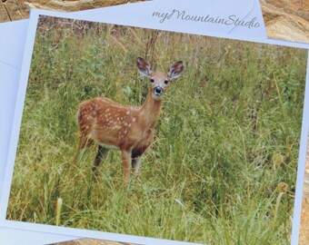 Deer Fawn Photo Note Card. Nature Photography. Montana Wildlife.