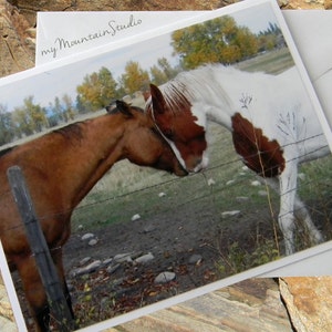 Horse Love Photo Note Card. Equine Photography in Rural Montana.