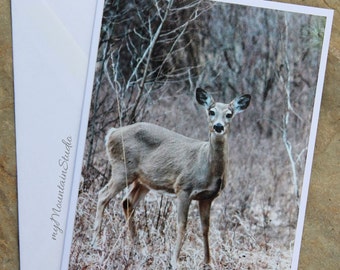 Deer Photo Note Card. Montana Wildlife Nature Photography. Ready to Ship.