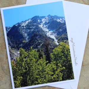 May include: A scenic photograph of a mountain range with snow-capped peaks and lush green trees in the foreground. The sky is a bright blue with white clouds.