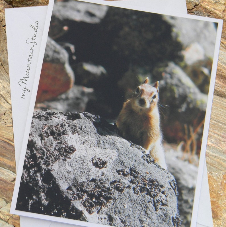 Ground Squirrel Portrait Photo Note Card Montana Wildlife Nature Photography image 1
