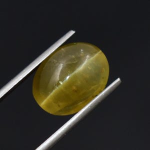 May include: A translucent, oval-shaped yellow gemstone held by silver-coloured metal tweezers. The stone features a distinct chatoyant band running across its centre, creating a cat's eye effect with visible internal inclusions and a smooth surface.