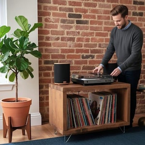 Puede incluir: Un mueble de madera para tocadiscos con tocadiscos, altavoz y discos de vinilo. Se muestra a una persona operando el tocadiscos. Una planta en maceta en una maceta de terracota se encuentra en un soporte de madera. El fondo es una pared de ladrillo.