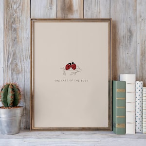 May include: Framed art print featuring two red ladybugs on a branch, with the text "THE LAST OF THE BUGS" below. The artwork is in a gold frame and rests on a white shelf with a cactus in a metal pot and a row of books.