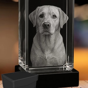 3D Crystal Photo Gift: Personalized Laser Engraved Keepsake with LED Base