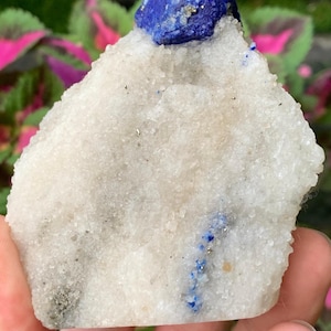 Natural Lazurite Crystal on Matrix Specimen from Afghanistan – Rare Blue Mineral Collectible
