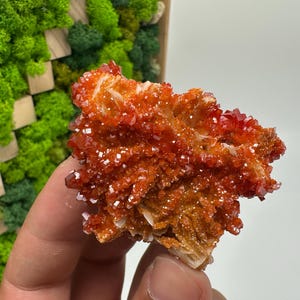 Roter Cr. Vanadinit auf Baryt aus Marokko,Vanadinit Kristall,Haufen,Haufen,Geologie,Haufen,Haufen,Cluster,rot Cr