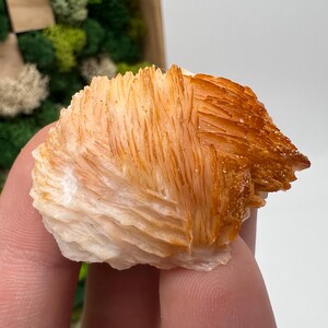 Roter Cr. Vanadinit auf Baryt aus Marokko,Vanadinit Kristall,Haufen,Haufen,Geologie,Haufen,Haufen,Cluster,rot Cr