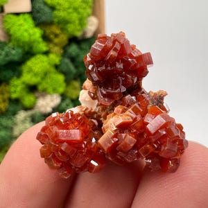 Red Vanadinite on Barite from Morocco,Crystal, Mineral,Specimen,Cluster,Vanadinite Crystal, Vanadinite ,Geology,Vanadinite Cluster,red Cr