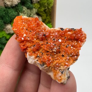 Roter Cr. Vanadinit auf Baryt aus Marokko,Vanadinit Kristall,Haufen,Haufen,Geologie,Haufen,Haufen,Cluster,rot Cr