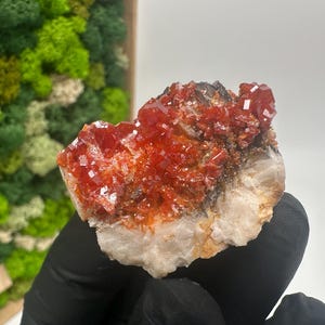 Roter Cr. Vanadinit auf Baryt aus Marokko,Vanadinit Kristall,Haufen,Haufen,Geologie,Haufen,Haufen,Cluster,rot Cr