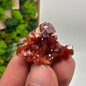 Roter Cr. Vanadinit auf Baryt aus Marokko,Vanadinit Kristall,Haufen,Haufen,Geologie,Haufen,Haufen,Cluster,rot Cr