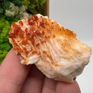 Roter Cr. Vanadinit auf Baryt aus Marokko,Vanadinit Kristall,Haufen,Haufen,Geologie,Haufen,Haufen,Cluster,rot Cr
