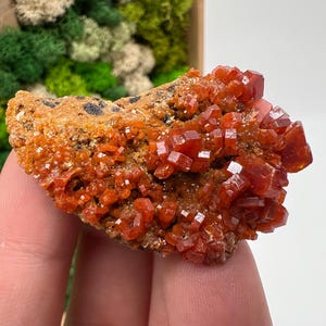 Red Vanadinite on Barite from Morocco,Crystal, Mineral,Specimen,Cluster,Vanadinite Crystal, Vanadinite ,Geology,Vanadinite Cluster,red Cr