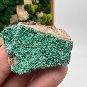 Malachite Crystal from Congo,Mineral,Crystals from Congo,Green Malachite, Malachite,Natural Malachite,Malachite Stone,Chakra, Specimen