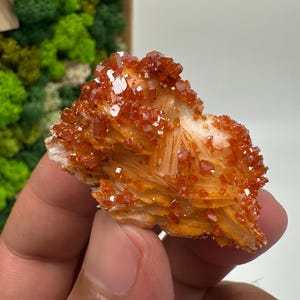 Roter Cr. Vanadinit auf Baryt aus Marokko,Vanadinit Kristall,Haufen,Haufen,Geologie,Haufen,Haufen,Cluster,rot Cr