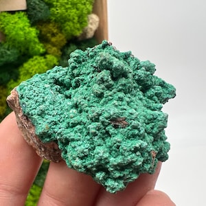 Malachite Crystal from Congo,Mineral,Crystals from Congo,Green Malachite, Malachite,Natural Malachite,Malachite Stone,Chakra, Specimen