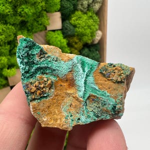 Malachite Crystal from Congo,Mineral,Crystals from Congo,Green Malachite, Malachite,Natural Malachite,Malachite Stone,Chakra, Specimen
