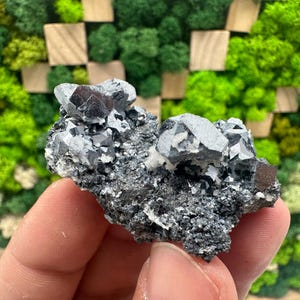 Beautiful Lustres Galena on Sphalerite,From Borieva mine,Madan,Bulgaria,Galena,Galena spinel,Galena cubes,Black Sphalerite,collection minera