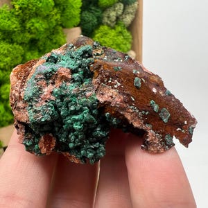 Malachite Crystal from Congo,Mineral,Crystals from Congo,Green Malachite, Malachite,Natural Malachite,Malachite Stone,Chakra, Specimen