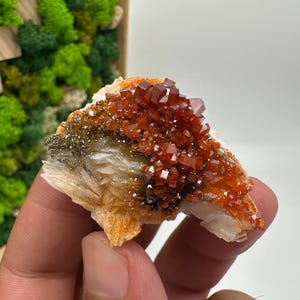Roter Cr. Vanadinit auf Baryt aus Marokko,Vanadinit Kristall,Haufen,Haufen,Geologie,Haufen,Haufen,Cluster,rot Cr