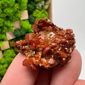 Red Vanadinite on Barite from Morocco,Crystal, Mineral,Specimen,Cluster,Vanadinite Crystal, Vanadinite ,Geology,Vanadinite Cluster,red Cr