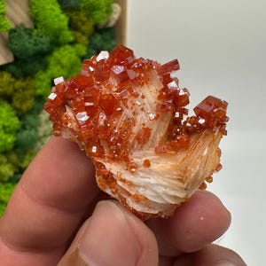 Roter Cr. Vanadinit auf Baryt aus Marokko,Vanadinit Kristall,Haufen,Haufen,Geologie,Haufen,Haufen,Cluster,rot Cr