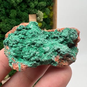 Malachite Crystal from Congo,Mineral,Crystals from Congo,Green Malachite, Malachite,Natural Malachite,Malachite Stone,Chakra, Specimen