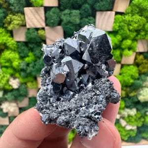 Beautiful Lustres Galena on Sphalerite,From Borieva mine,Madan,Bulgaria,Galena,Galena spinel,Galena cubes,Black Sphalerite,collection minera