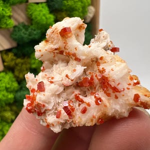 Red Vanadinite on Barite from Morocco,Crystal, Mineral,Specimen,Cluster,Vanadinite Crystal, Vanadinite ,Geology,Vanadinite Cluster,red Cr