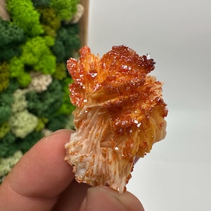 Roter Cr. Vanadinit auf Baryt aus Marokko,Vanadinit Kristall,Haufen,Haufen,Geologie,Haufen,Haufen,Cluster,rot Cr