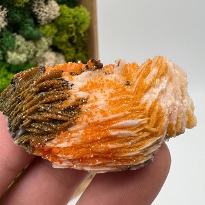 Roter Cr. Vanadinit auf Baryt aus Marokko,Vanadinit Kristall,Haufen,Haufen,Geologie,Haufen,Haufen,Cluster,rot Cr