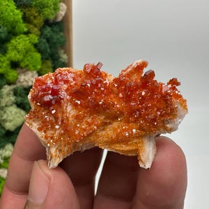 Roter Cr. Vanadinit auf Baryt aus Marokko,Vanadinit Kristall,Haufen,Haufen,Geologie,Haufen,Haufen,Cluster,rot Cr