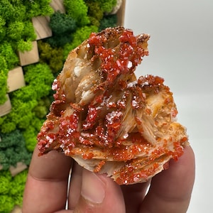 Roter Cr. Vanadinit auf Baryt aus Marokko,Vanadinit Kristall,Haufen,Haufen,Geologie,Haufen,Haufen,Cluster,rot Cr