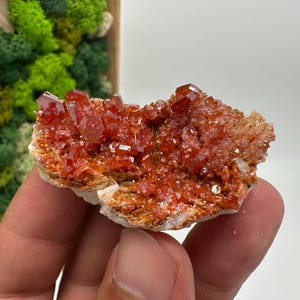 Roter Cr. Vanadinit auf Baryt aus Marokko,Vanadinit Kristall,Haufen,Haufen,Geologie,Haufen,Haufen,Cluster,rot Cr