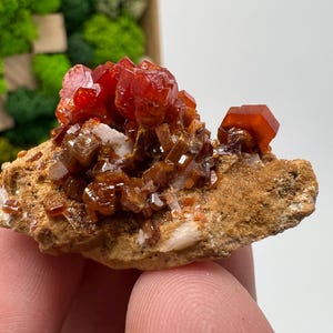 Red Vanadinite on Barite from Morocco,Crystal, Mineral,Specimen,Cluster,Vanadinite Crystal, Vanadinite ,Geology,Vanadinite Cluster,red Cr
