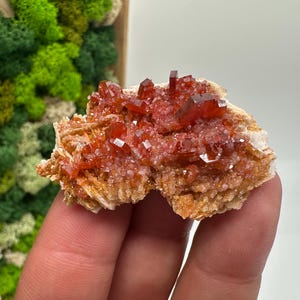 Roter Cr. Vanadinit auf Baryt aus Marokko,Vanadinit Kristall,Haufen,Haufen,Geologie,Haufen,Haufen,Cluster,rot Cr