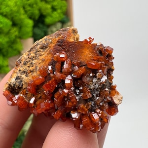Red Vanadinite on Barite from Morocco,Crystal, Mineral,Specimen,Cluster,Vanadinite Crystal, Vanadinite ,Geology,Vanadinite Cluster,red Cr