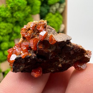 Red Vanadinite on Barite from Morocco,Crystal, Mineral,Specimen,Cluster,Vanadinite Crystal, Vanadinite ,Geology,Vanadinite Cluster,red Cr