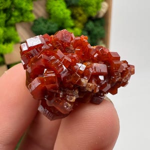 Red Vanadinite on Barite from Morocco,Crystal, Mineral,Specimen,Cluster,Vanadinite Crystal, Vanadinite ,Geology,Vanadinite Cluster,red Cr