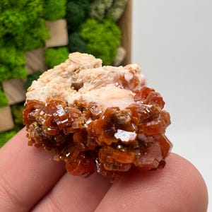 Red Vanadinite on Barite from Morocco,Crystal, Mineral,Specimen,Cluster,Vanadinite Crystal, Vanadinite ,Geology,Vanadinite Cluster,red Cr