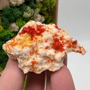 Red Vanadinite on Barite from Morocco,Crystal, Mineral,Specimen,Cluster,Vanadinite Crystal, Vanadinite ,Geology,Vanadinite Cluster,red Cr