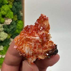 Roter Cr. Vanadinit auf Baryt aus Marokko,Vanadinit Kristall,Haufen,Haufen,Geologie,Haufen,Haufen,Cluster,rot Cr