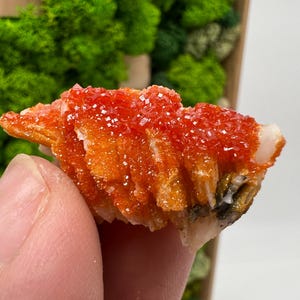 Red Vanadinite on Barite from Morocco,Crystal, Mineral,Specimen,Cluster,Vanadinite Crystal, Vanadinite ,Geology,Vanadinite Cluster,red Cr