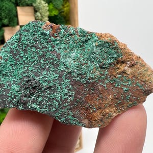 Malachite Crystal from Congo,Mineral,Crystals from Congo,Green Malachite, Malachite,Natural Malachite,Malachite Stone,Chakra, Specimen