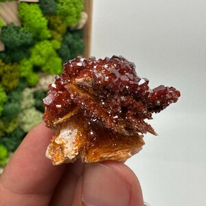 Roter Cr. Vanadinit auf Baryt aus Marokko,Vanadinit Kristall,Haufen,Haufen,Geologie,Haufen,Haufen,Cluster,rot Cr