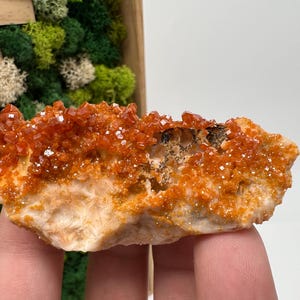 Roter Cr. Vanadinit auf Baryt aus Marokko,Vanadinit Kristall,Haufen,Haufen,Geologie,Haufen,Haufen,Cluster,rot Cr