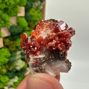 Roter Cr. Vanadinit auf Baryt aus Marokko,Vanadinit Kristall,Haufen,Haufen,Geologie,Haufen,Haufen,Cluster,rot Cr