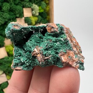 Malachite Crystal from Congo,Mineral,Crystals from Congo,Green Malachite, Malachite,Natural Malachite,Malachite Stone,Chakra, Specimen